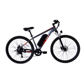 PVY M29 Commuter Electric Bike
